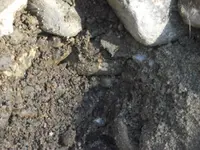 DSCF0221.webp