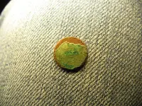 IMG_0099_1.webp