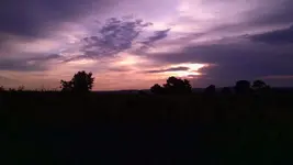 morning walk 1a.webp