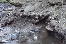 DSCF1226.webp