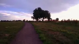 morning walk 1.webp