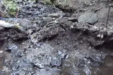 DSCF1227.webp