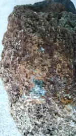 IMG_20150823_163914313.webp