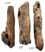 twigs_14_C.webp