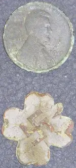 DSCN1102.webp