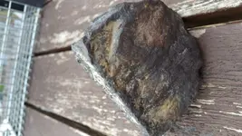 20150911_173135.webp