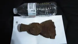 IMAG0007.webp