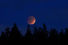 ImageUploadedByTreasureNet.com1443473302.635797.webp