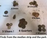 Median Strip & Park Finds Aug 003.webp