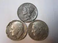 Median Strip & Park Finds Aug 004.webp