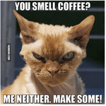 2015-08-11 01_35_18-You Smell Coffee_ Me Neither. Make Some! - Humoar.com.png