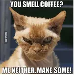 2015-08-11 01_35_18-You Smell Coffee_ Me Neither. Make Some! - Humoar.com.webp 2015-08-11 01_35_18-You Smell Coffee_ Me Neither. Make Some! - Humoar.com.webp