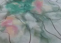 1441248745514.webp