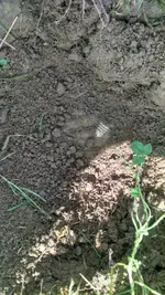 1439148719969.webp