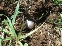 100_3622.webp