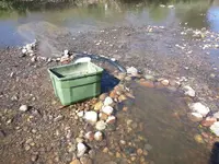 20140903_155138.webp