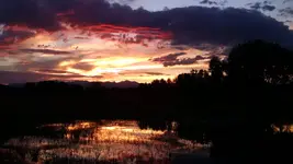 sunset 090215.webp
