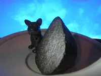 Smaller  Slipper ShellSnale. Black surfaces with melt froth. Fine flowlines and regmagliphs. ...webp