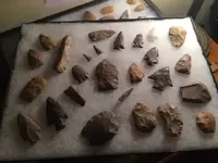 ImageUploadedByTreasureNet.com1442798419.495903.webp