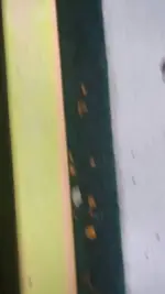 1443487000671.webp