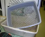 ImageUploadedByTreasureNet.com1441284966.981817.webp