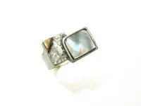 mop ring.webp mop ring.webp