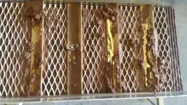 20150809_162351.webp
