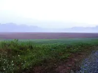 001.webp