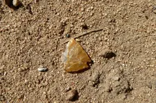 arrowhead 2.webp