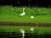 013.webp