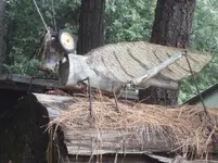 feather river 11 11 07 020.webp
