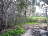 ghosttown4.webp