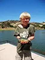noandsunfish2.webp