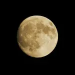 Moon.webp
