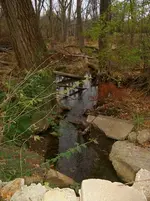 JJ Creek 2.webp