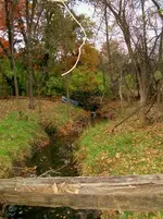 JJ Creek.webp