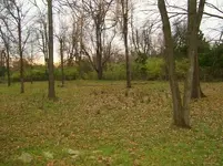JJ Creek 4.webp