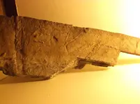 DSCF0749.webp