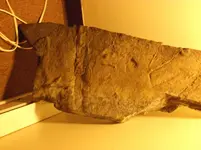 DSCF0747.webp