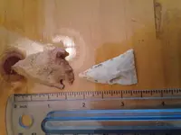 20150809_170603.webp