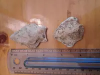 20150809_170650.webp
