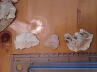 20150809_170800.webp