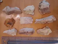 20150809_172215.webp