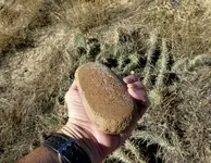 grindstone 4.webp
