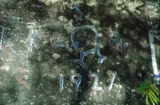 38SP331-24 A.webp