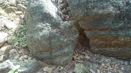 12063951_824893330957077_1489870779_n.webp