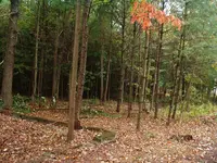 DSCF0002.webp