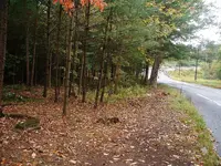 DSCF0003.webp