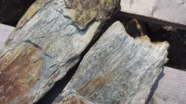 20150816_14405822223333.webp