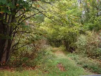 DSCF0007.webp